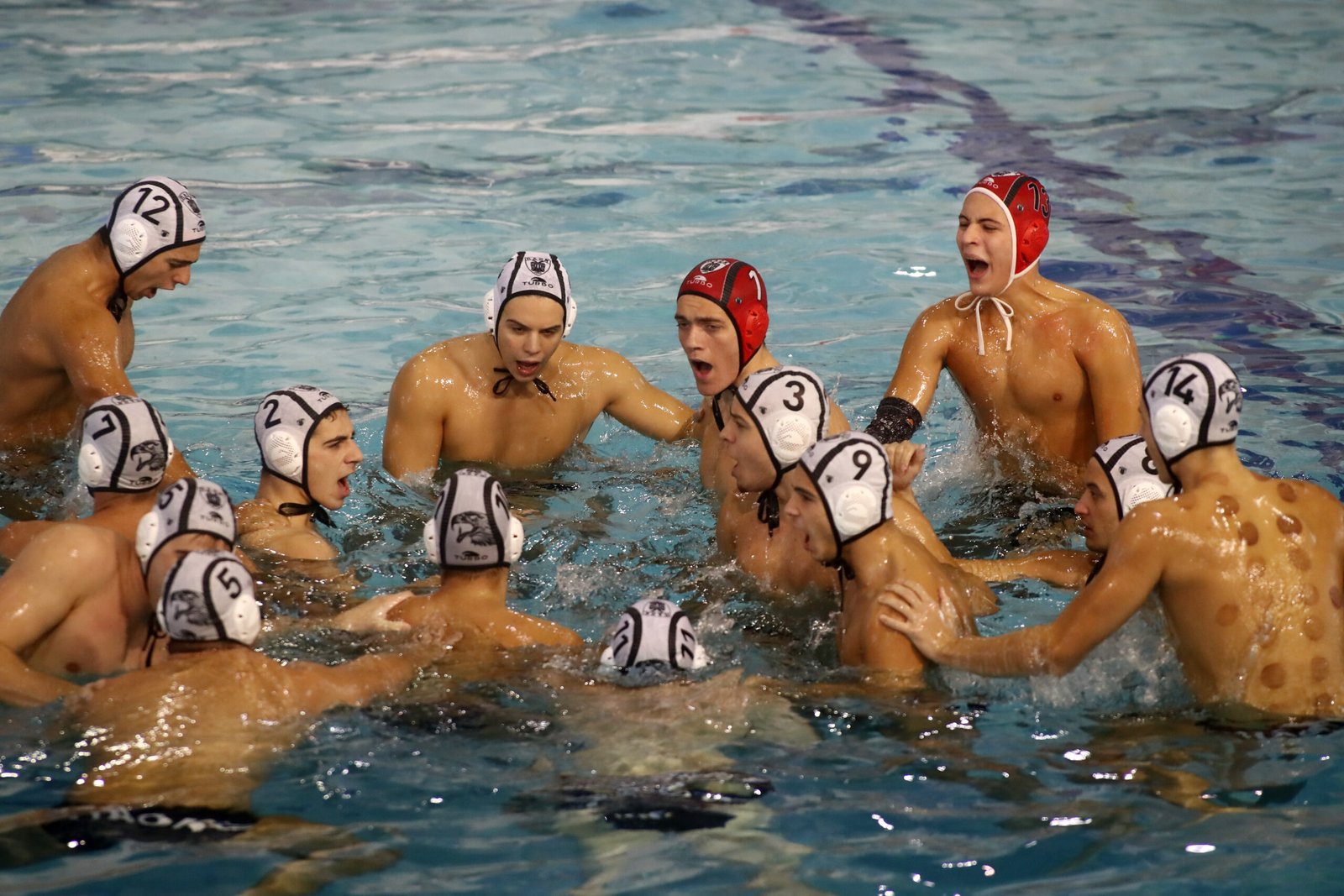 Στους «8» του Κυπέλλου ο ΠΑΟΚ Domus Ergo!