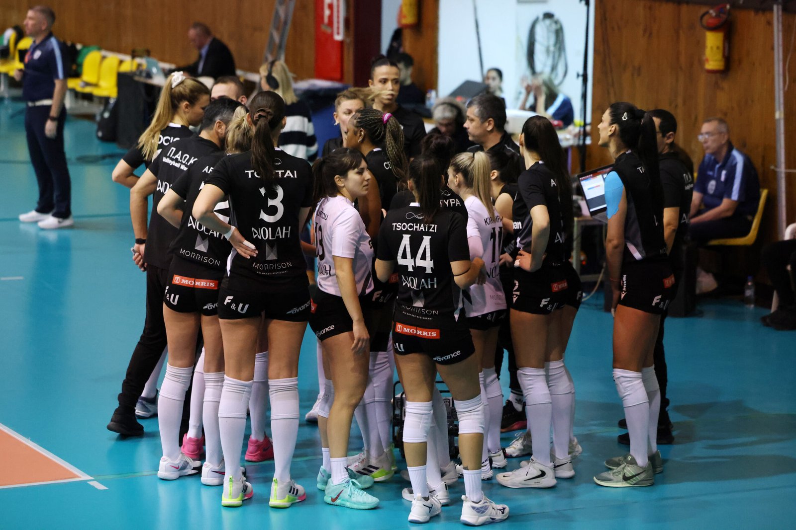 Παναθηναϊκός-ΠΑΟΚ F&U (11/02, 17:30)